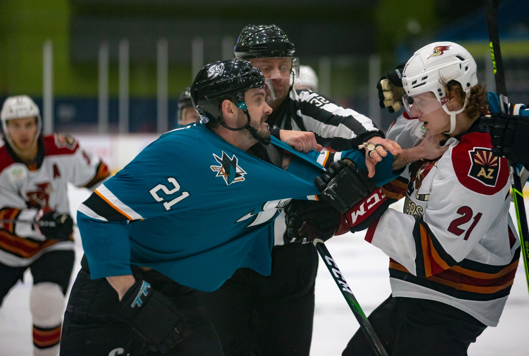 Roadrunners Vs Barracuda